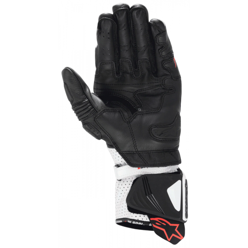 Моторукавиці Alpinestars GP Pro R4 Black/White