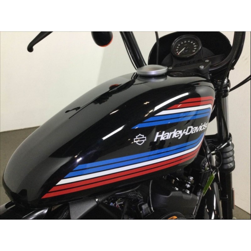 Мотоцикл HARLEY-DAVIDSON XL1200 IRON