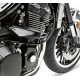 Крашпады Kawasaki Z900RS 2018- - motodom.com.ua
